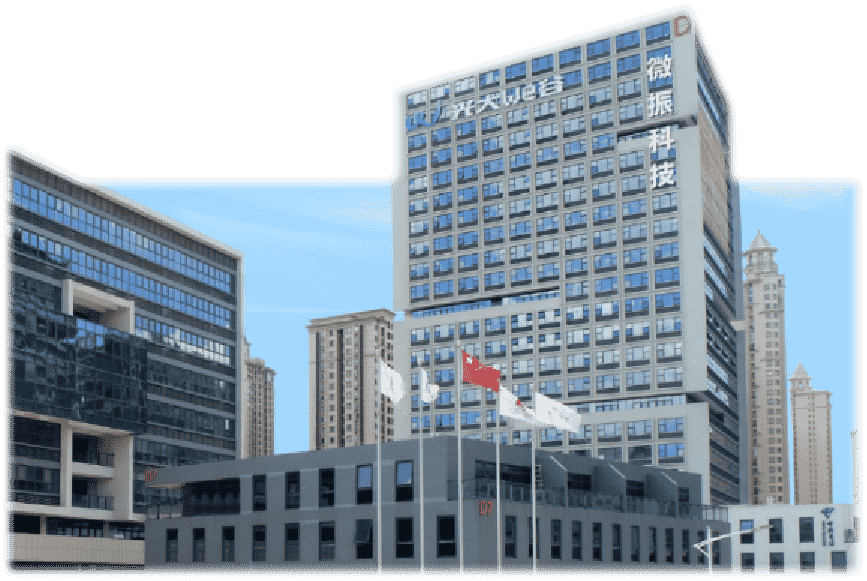 东莞市微振科技有限公司